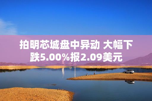 拍明芯城盘中异动 大幅下跌5.00%报2.09美元