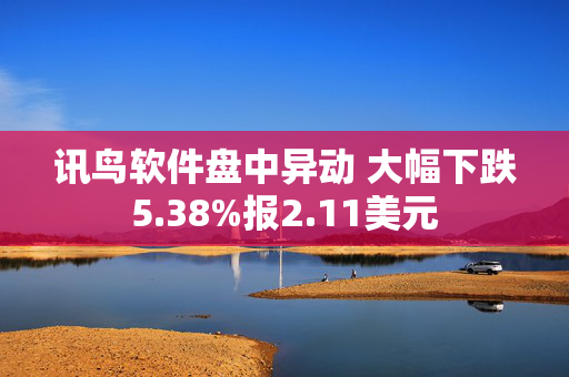 讯鸟软件盘中异动 大幅下跌5.38%报2.11美元