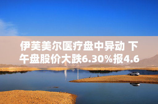 伊芙美尔医疗盘中异动 下午盘股价大跌6.30%报4.61美元