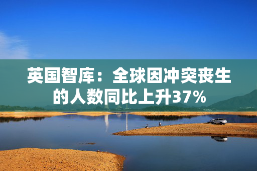 英国智库：全球因冲突丧生的人数同比上升37%