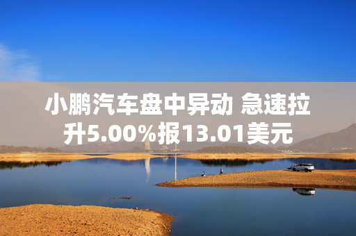 小鹏汽车盘中异动 急速拉升5.00%报13.01美元