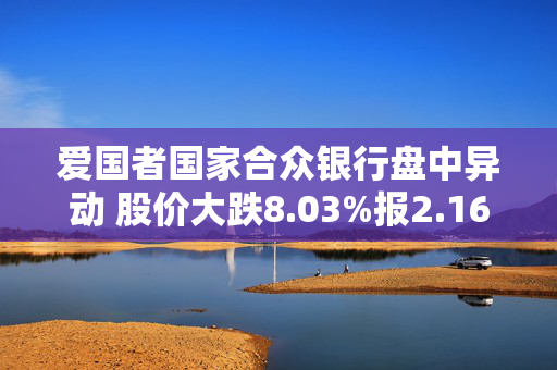 爱国者国家合众银行盘中异动 股价大跌8.03%报2.16美元