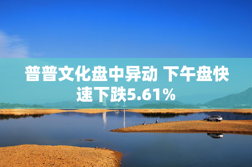 普普文化盘中异动 下午盘快速下跌5.61%