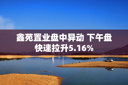 鑫苑置业盘中异动 下午盘快速拉升5.16%