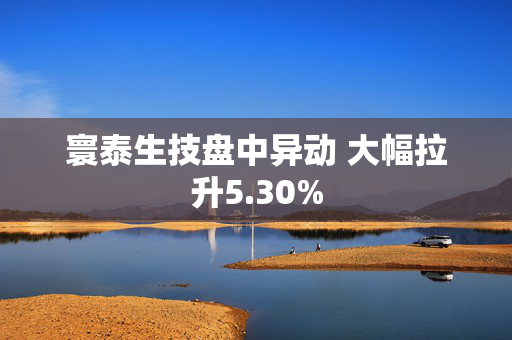 寰泰生技盘中异动 大幅拉升5.30%