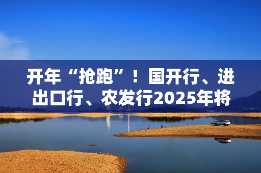 开年“抢跑”！国开行、进出口行、农发行2025年将大幅增加发债规模