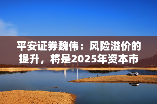 平安证券魏伟：风险溢价的提升，将是2025年资本市场定价的主要逻辑