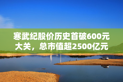 寒武纪股价历史首破600元大关，总市值超2500亿元