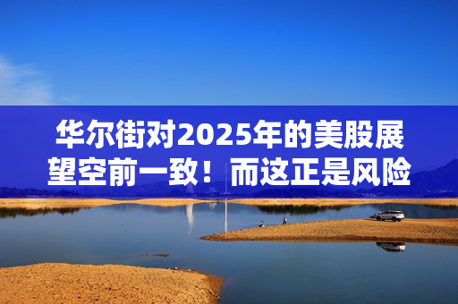 华尔街对2025年的美股展望空前一致！而这正是风险所在？