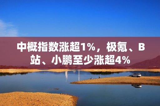 中概指数涨超1%，极氪、B站、小鹏至少涨超4%