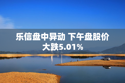 乐信盘中异动 下午盘股价大跌5.01%