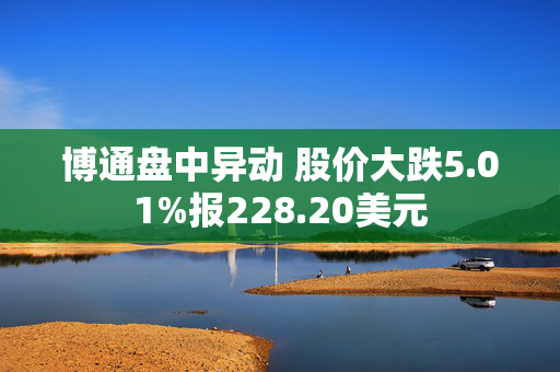 博通盘中异动 股价大跌5.01%报228.20美元