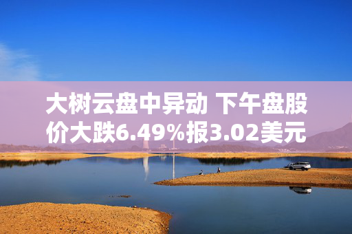 大树云盘中异动 下午盘股价大跌6.49%报3.02美元