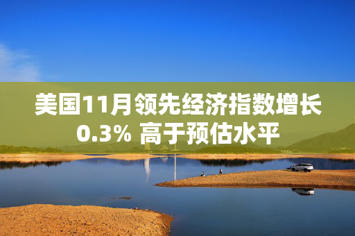 美国11月领先经济指数增长0.3% 高于预估水平