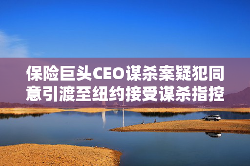 保险巨头CEO谋杀案疑犯同意引渡至纽约接受谋杀指控