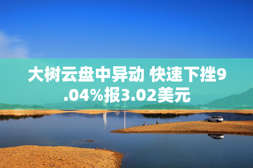 大树云盘中异动 快速下挫9.04%报3.02美元