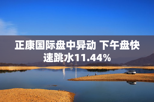 正康国际盘中异动 下午盘快速跳水11.44%