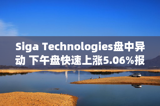 Siga Technologies盘中异动 下午盘快速上涨5.06%报6.02美元