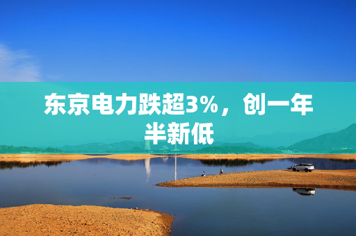 东京电力跌超3%，创一年半新低