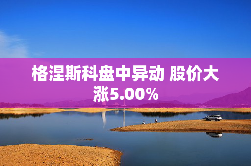 格涅斯科盘中异动 股价大涨5.00%