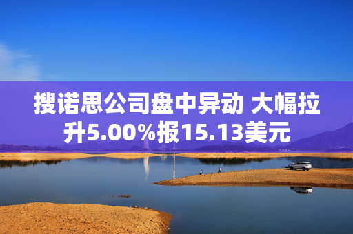 搜诺思公司盘中异动 大幅拉升5.00%报15.13美元