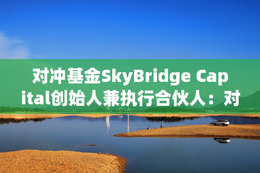 对冲基金SkyBridge Capital创始人兼执行合伙人：对MicroStrategy债务的担忧被夸大了