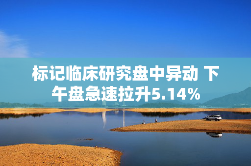 标记临床研究盘中异动 下午盘急速拉升5.14%