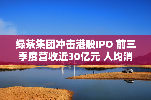 绿茶集团冲击港股IPO 前三季度营收近30亿元 人均消费下滑