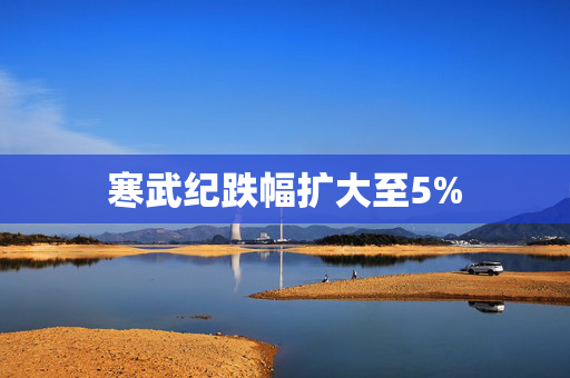 寒武纪跌幅扩大至5%