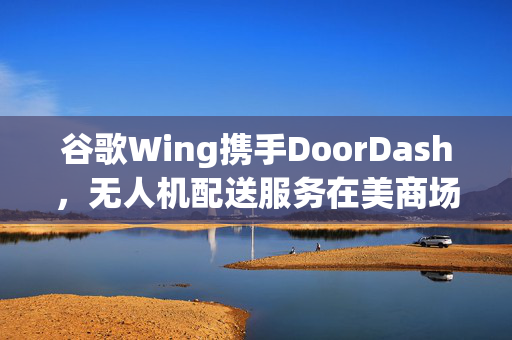 谷歌Wing携手DoorDash，无人机配送服务在美商场启航