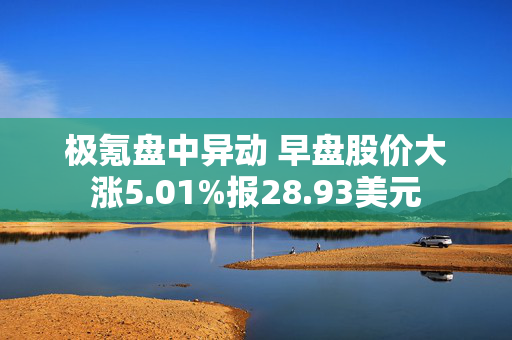 极氪盘中异动 早盘股价大涨5.01%报28.93美元