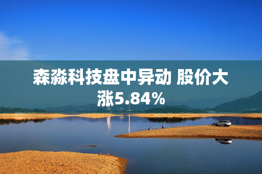 森淼科技盘中异动 股价大涨5.84%