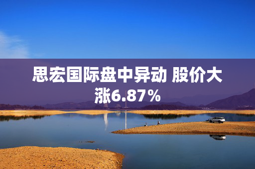 思宏国际盘中异动 股价大涨6.87%