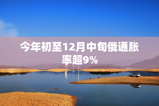 今年初至12月中旬俄通胀率超9%