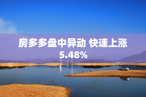 房多多盘中异动 快速上涨5.48%