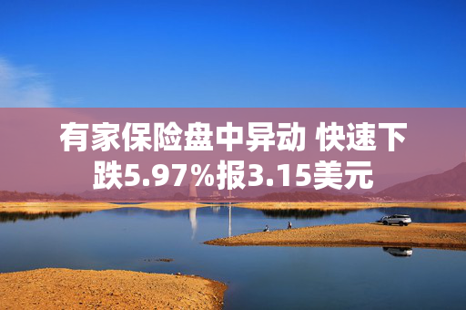 有家保险盘中异动 快速下跌5.97%报3.15美元