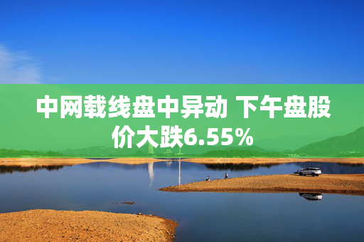 中网载线盘中异动 下午盘股价大跌6.55%