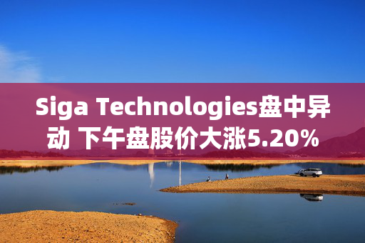 Siga Technologies盘中异动 下午盘股价大涨5.20%