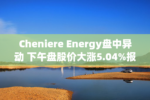 Cheniere Energy盘中异动 下午盘股价大涨5.04%报241.01美元