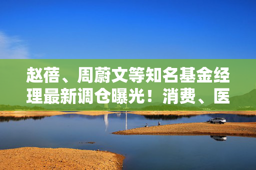 赵蓓、周蔚文等知名基金经理最新调仓曝光！消费、医疗等领域受关注