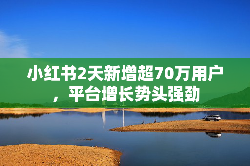 小红书2天新增超70万用户，平台增长势头强劲