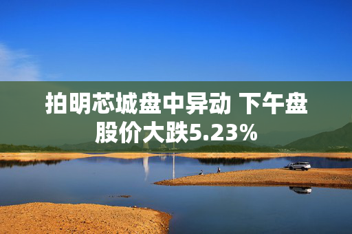 拍明芯城盘中异动 下午盘股价大跌5.23%