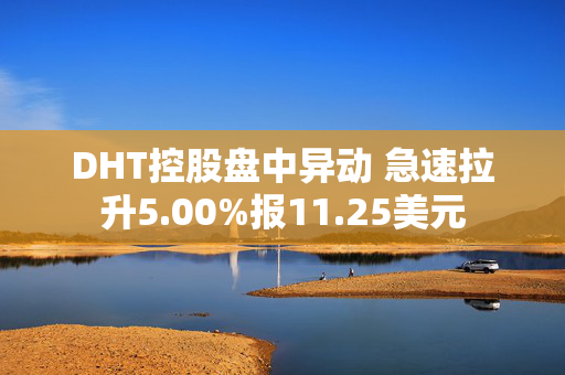 DHT控股盘中异动 急速拉升5.00%报11.25美元