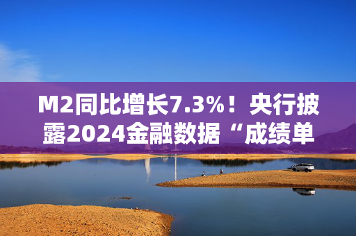 M2同比增长7.3%！央行披露2024金融数据“成绩单”，政府债发力撑起12月社融，信贷需求仍待改善