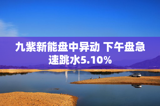 九紫新能盘中异动 下午盘急速跳水5.10%