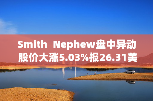 Smith  Nephew盘中异动 股价大涨5.03%报26.31美元