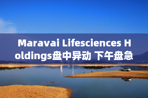 Maravai Lifesciences Holdings盘中异动 下午盘急速上涨5.03%报4.80美元