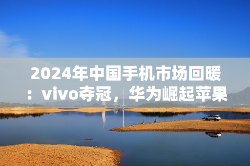 2024年中国手机市场回暖：vivo夺冠，华为崛起苹果下滑