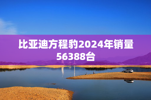 比亚迪方程豹2024年销量56388台