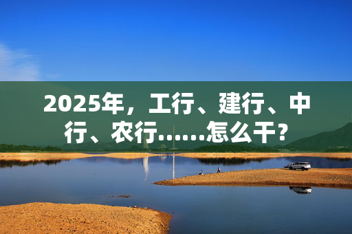 2025年，工行、建行、中行、农行……怎么干？